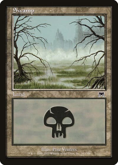 Swamp (342)