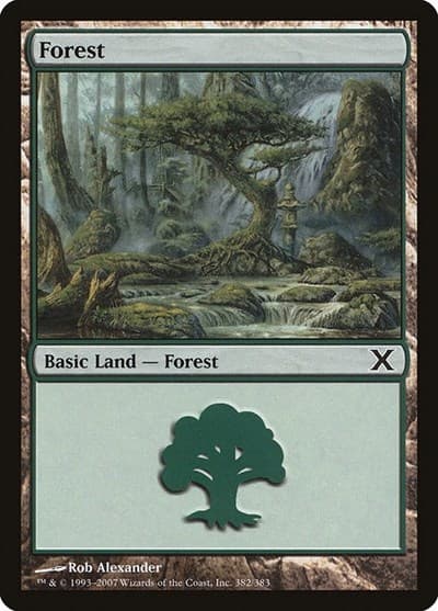 Forest (382)