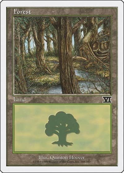 Forest (348)
