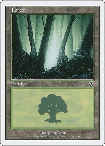 Forest (330)