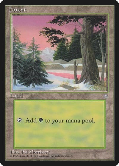 Forest (329)