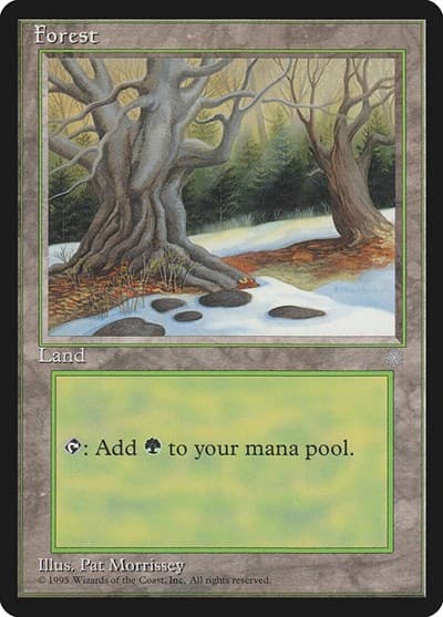 Forest (330)