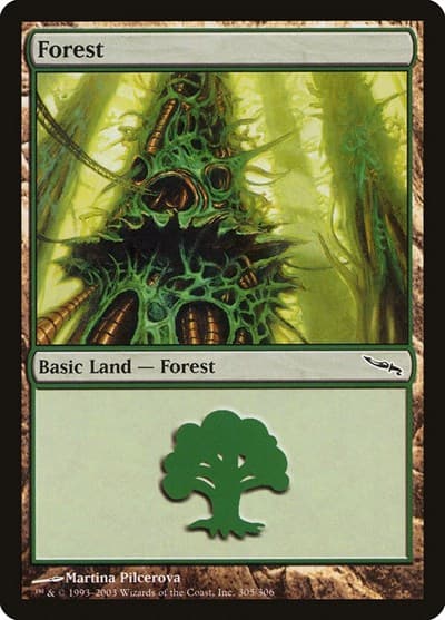 Forest (305)