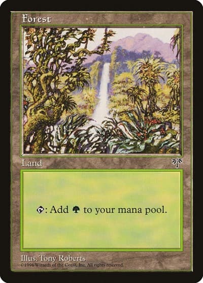 Forest (Waterfall)