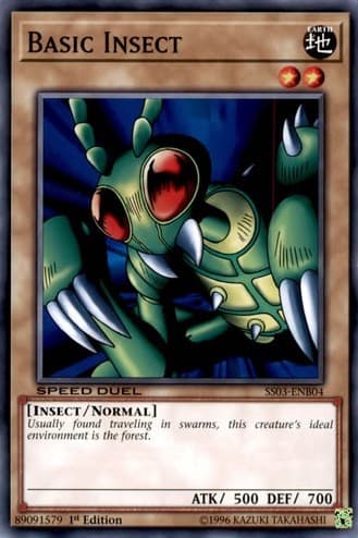 Basic Insect