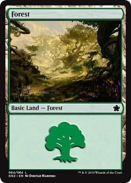 Forest (064)
