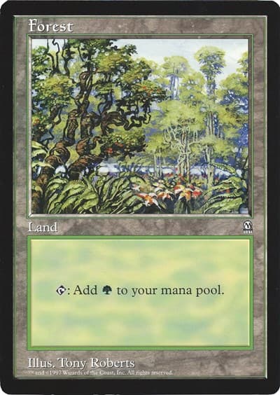 Forest (Arena League)