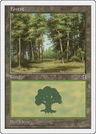Forest (179)
