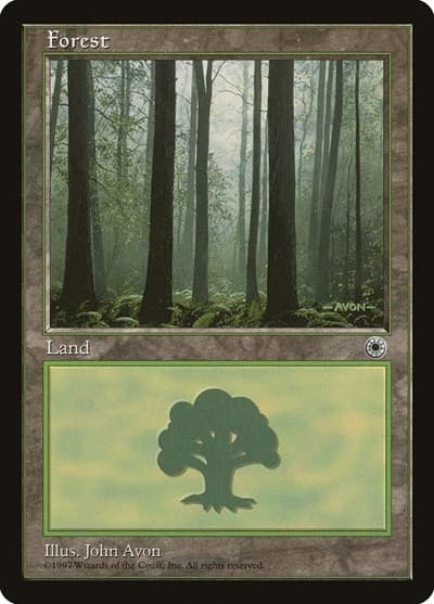 Forest (Ferns on Ground)