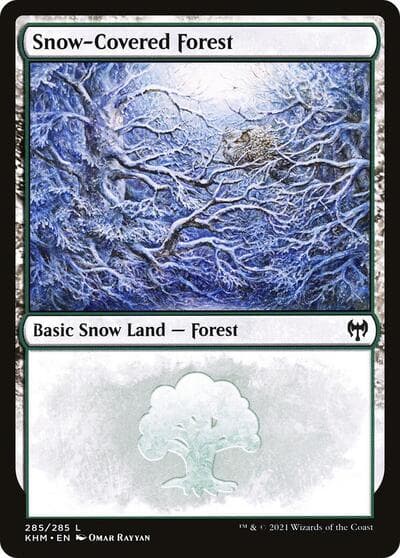 Snow-Covered Forest (285)