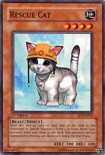 Rescue Cat