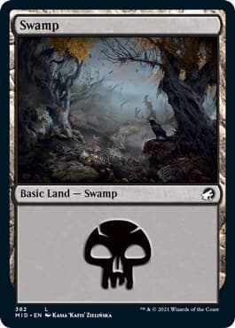 Swamp (382)