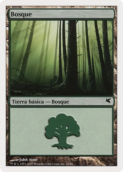 Forest (Spanish) - "Bosque" (J22)