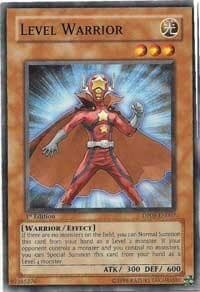Level Warrior