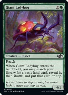 Giant Ladybug