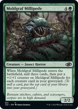 Moldgraf Millipede