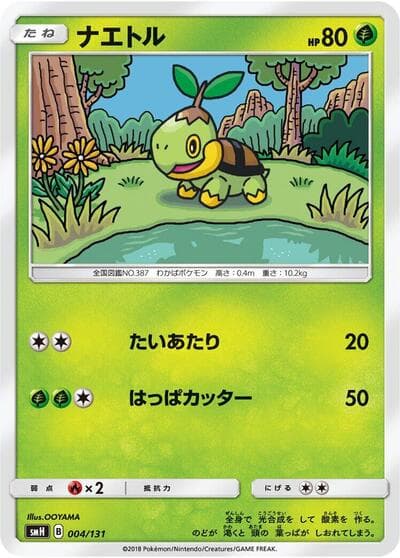 Turtwig