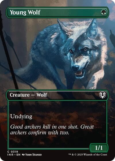 Young Wolf (Borderless)