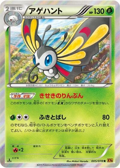 Beautifly