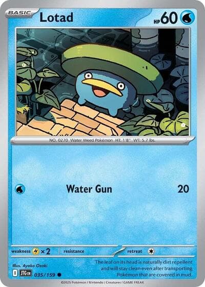 Lotad