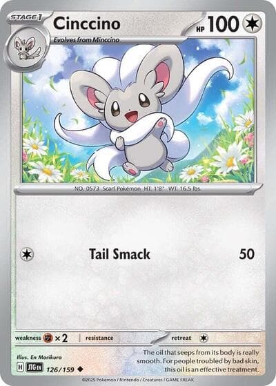 Cinccino