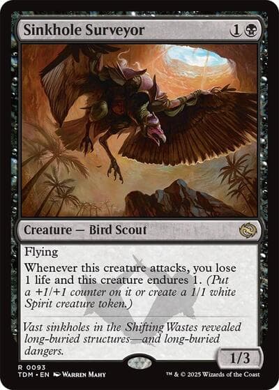 Sinkhole Surveyor