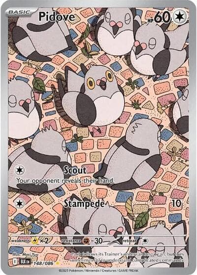 Pidove - 148/086