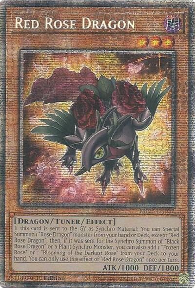 Red Rose Dragon