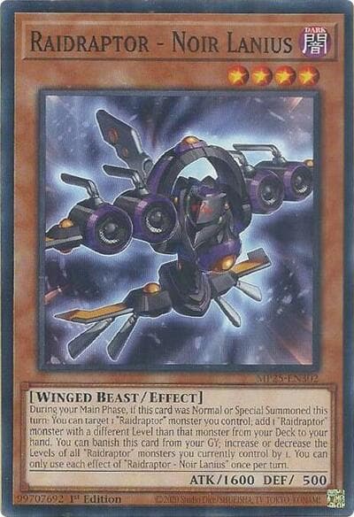 Raidraptor - Noir Lanius