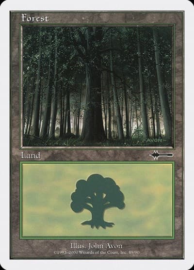 Forest (89)