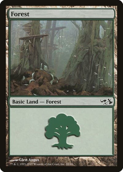 Forest (28)