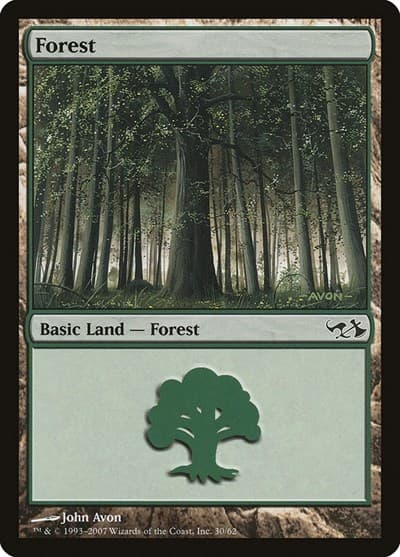 Forest (30)