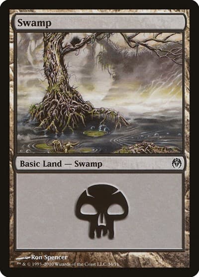 Swamp (34)