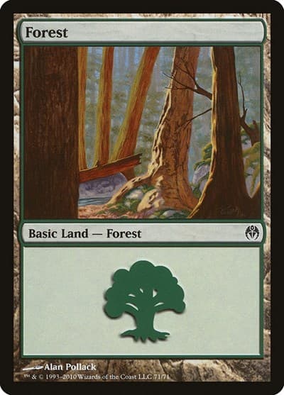 Forest (71)
