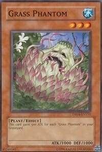 Grass Phantom