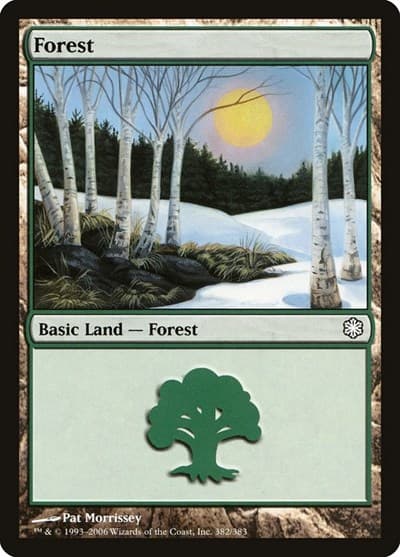Forest (382)