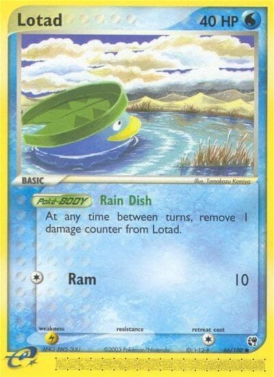 Lotad - 66/100