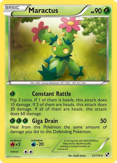 Maractus (12)