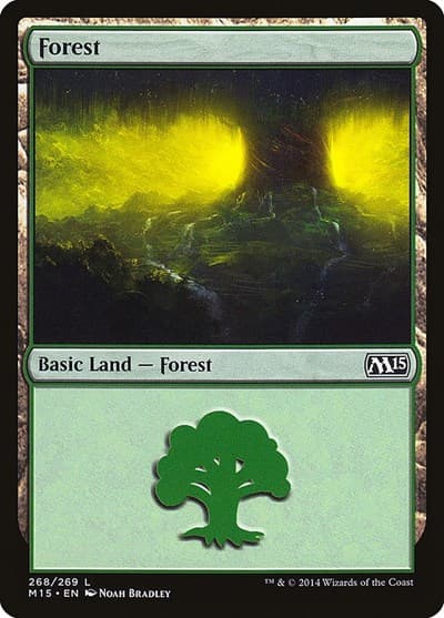 Forest (268)