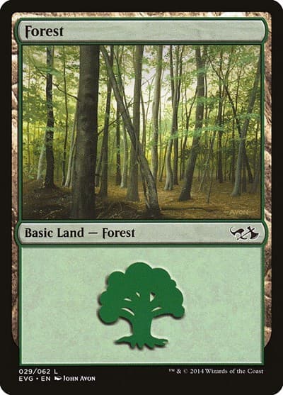 Forest (029) (EVG)