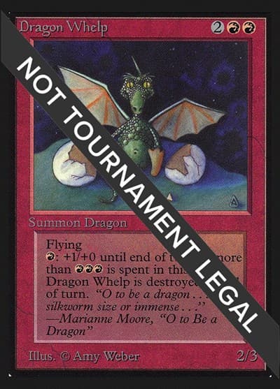 Dragon Whelp (IE)