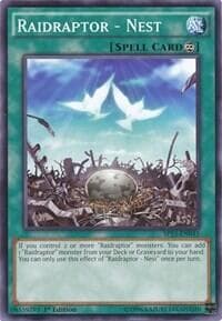 Raidraptor - Nest